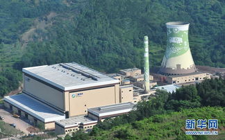 追問 綠色經(jīng)濟(jì) 重慶環(huán)保產(chǎn)業(yè)發(fā)展調(diào)查 組圖