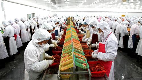 京東生鮮聯(lián)手德炎水產(chǎn),打開小龍蝦產(chǎn)業(yè)新格局