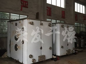 湖北宜昌食品公司與榮發干燥合作，引進恒特發薯條烘干機助力產業升級